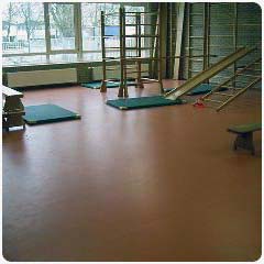 gymnastieklokaal toestellen.jpg